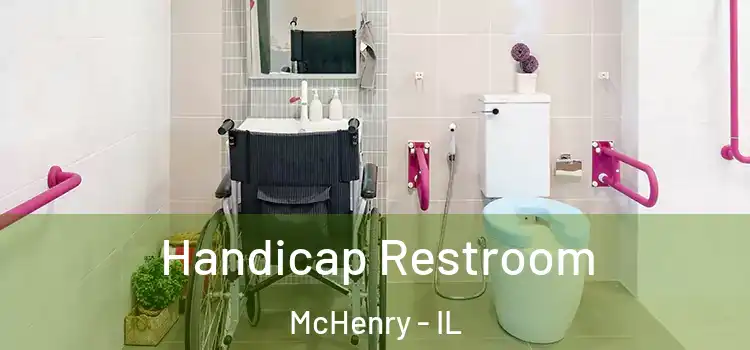 Handicap Restroom McHenry - IL